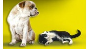 Pet Services & Supplies in Phoenix, AZ