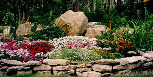 Garden Services in Pinellas County