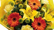 Florist in Arvada, CO